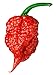 Photo Carolina Reaper Seeds - 400 Carolina Reaper Seeds for Planting - Hottest Pepper Seeds - Hottest Chili Pepper in The World - Organic, Non - GMO Carolina Reaper Plant Seeds new bestseller 2024-2023