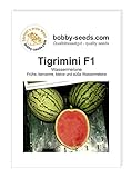 Melonensamen Tigrimini F1 Wassermelone Portion Foto, Bestseller 2025-2024 neu, bester Preis 2,95 € Rezension