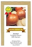 Zwiebel - Stuttgarter Riese (300 Samen) Foto, Bestseller 2024-2023 neu, bester Preis 1,95 € Rezension