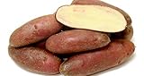 French Fingerling Potato 6 Tubers - Heirloom Photo, bestseller 2024-2023 new, best price $7.50 review