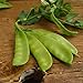 Photo Oregon Sugar Pod II Snow Pea - 50 Seeds - Heirloom & Open-Pollinated Variety, Easy-to-Grow & Cold-Tolerant, Non-GMO Vegetable Seeds for Planting Outdoors in The Home Garden, Thresh Seed Company new bestseller 2024-2023