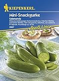 Gurkensamen - Salatgurke Salamanda von Kiepenkerl Foto, Bestseller 2025-2024 neu, bester Preis 3,95 € Rezension