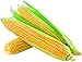 Photo David's Garden Seeds Corn Super Sweet GSS1170 (Yellow) 100 Non-GMO, Hybrid Seeds new bestseller 2024-2023