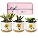 Photo GIFTAGIRL Sunflower Décor Gifts - Pretty Sunflower Mothers Day or Birthday Gifts, Like Our Super Cute Pots are Unique Gifts for Sunflower Lovers for any Occasion and Arrive Beautifully Gift Boxed new bestseller 2024-2023