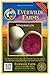 Photo Everwilde Farms - 300 Watermelon Radish Seeds - Gold Vault Jumbo Seed Packet new bestseller 2024-2023