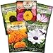 Photo Sow Right Seeds - Flower Seed Garden Collection for Planting - 5 Packets Includes Marigold, Zinnia, Sunflower, Cape Daisy, and Cosmos - Wonderful Gardening Gift new bestseller 2024-2023