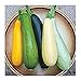 Photo David's Garden Seeds Zucchini Summer Melody 9112 (Multi) 50 Non-GMO, Heirloom Seeds new bestseller 2024-2023