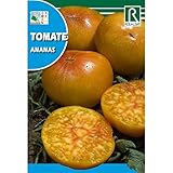 Semillas de Tomate ananas Foto, éxito de ventas 2025-2024 nuevo, mejor precio 1,62 € revisión