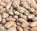 Photo Pinto Beans Seeds, the Most Common Bean in the US 100 Seeds Heirloom ! new bestseller 2024-2023