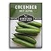 Photo Survival Garden Seeds - Beit Alpha Cucumber Seed for Planting - Pack with Instructions to Plant and Grow Smooth Green Burpless Cucumbers in Your Home Vegetable Garden - Non-GMO Heirloom Variety new bestseller 2024-2023