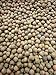 Photo Deer Creek Seed Austrian Winter Pea new bestseller 2024-2023