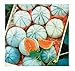 Photo David's Garden Seeds Fruit Melon Savor (Orange) 25 Non-GMO, Hybrid Seeds new bestseller 2024-2023