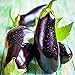 Photo Eggplant Seed, Black Beauty, Heirloom, Non GMO, 50 Seeds, Vegetable new bestseller 2024-2023