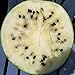 Photo Cream of Saskatchewan Heirloom Watermelon (Certified Organic Seeds) by Stonysoil Seed Company new bestseller 2024-2023