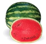 Crimson Sweet Heirloom Watermelon Seeds Photo, bestseller 2024-2023 new, best price $8.99 ($0.15 / Count) review