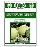 Honeydew Melon Seeds - 50 Seeds Non-GMO Photo, bestseller 2024-2023 new, best price  review