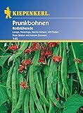 Bohne Rotblühende / Feuerbohnen Foto, Bestseller 2024-2023 neu, bester Preis 3,21 € Rezension