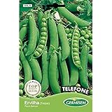 Germisem Telephone Semillas de Guisantes 100 g Foto, éxito de ventas 2024-2023 nuevo, mejor precio 3,43 € revisión