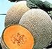 Photo Hale's Best Jumbo Cantaloupe Seeds - 50 Seeds Non-GMO new bestseller 2024-2023