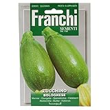 Franchi Samen Zucchini Bolognese Foto, Bestseller 2025-2024 neu, bester Preis 3,00 € Rezension