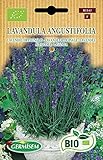 Germisem Bio Graines Lavande officinale LAVANDULA ANGUSTIFOLIA Photo, best-seller 2024-2023 nouveau, meilleur prix 7,29 € examen