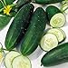 Photo Cucumber, Straight Eight Cucumber Seeds, Heirloom, 25 Seeds, Great for Salads/Snack new bestseller 2025-2024