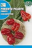 Semilla Pimiento Picante Habanero Red - Rocalba Foto, éxito de ventas 2025-2024 nuevo, mejor precio 2,00 € revisión