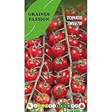 Graines passion sachet de graines Tomate Sweetie Photo, best-seller 2025-2024 nouveau, meilleur prix 4,80 € (4 800,00 € / kg) examen