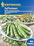 Bohnensamen - Puffbohne Piccola von Kiepenkerl Foto, Bestseller 2024-2023 neu, bester Preis 4,99 € Rezension