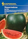 Melonen Wassermelone Red Star F1 Foto, Bestseller 2024-2023 neu, bester Preis 5,24 € (5,24 € / Stück) Rezension