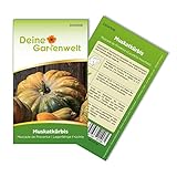Muskatkürbis Muscade de Provence Samen - Cucurbita moschata - Muskatkürbissamen - Gemüsesamen - Saatgut für 7 Pflanzen Foto, Bestseller 2024-2023 neu, bester Preis 2,19 € (0,31 € / stück) Rezension