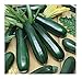 Photo David's Garden Seeds Zucchini Black Beauty 1454 (Green) 50 Non-GMO, Heirloom Seeds new bestseller 2024-2023