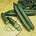 Photo Cucumber, Long Green Improved Seeds, Non-GMO, 25 Seeds per Package,Long Green Improved Cucumber is a Strong, Vigorous Producer . Jacobs Ladder Ent. new bestseller 2025-2024