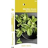 France Graines - Menthe Douce Photo, best-seller 2025-2024 nouveau, meilleur prix 4,90 € examen