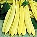 Photo David's Garden Seeds Bean Bush Capitano 8743 (Yellow) 100 Non-GMO, Open Pollinated Seeds new bestseller 2024-2023