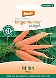 Bingenheimer Saatgut - Möhre Milan - Gemüse Saatgut / Samen Foto, Bestseller 2024-2023 neu, bester Preis 4,59 € Rezension