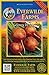 Photo Everwilde Farms - 100 Golden Detriot Beet Seeds - Gold Vault Jumbo Seed Packet new bestseller 2024-2023