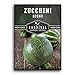 Photo Survival Garden Seeds - Round Zucchini Seed for Planting - Pack with Instructions to Plant and Grow Small Green Zucchinis in Your Home Vegetable Garden - Non-GMO Heirloom Variety new bestseller 2024-2023