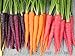 Photo Rainbow Blend Carrot Heirloom Seeds - B258 (150 Seeds, 1/4 Gram) new bestseller 2024-2023