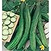 Photo Cetriolo Chinese Slangen Cucumbers Seeds (20+ Seeds) | Non GMO | Vegetable Fruit Herb Flower Seeds for Planting | Home Garden Greenhouse Pack new bestseller 2024-2023