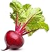 Photo Ruby Queen Beet Seeds | Beet Seeds for Planting Outdoor Gardens | Heirloom & Non-GMO | Planting Instructions Included new bestseller 2024-2023