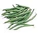 Photo Burpee Blue Lake 274 Bush Bean Seeds 8 ounces of seed new bestseller 2024-2023