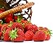 Photo Seascape Everbearing Strawberry 10 Bare Root Plants - BEST FLAVOR new bestseller 2024-2023