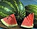 Photo Watermelon, Jubilee , Heirloom, 20 Seeds, Large, Sweet N Delicious new bestseller 2024-2023