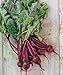 Photo Burpee Detroit Dark Red Medium Top Beet Seeds 1000 seeds new bestseller 2024-2023