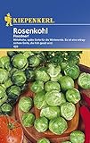 Rosenkohl Roodnerf spät Foto, Bestseller 2024-2023 neu, bester Preis 2,49 € Rezension