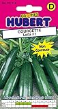 10 Graines de Courgette Leïla F1 Photo, best-seller 2024-2023 nouveau, meilleur prix 4,65 € (0,46 € / unité) examen