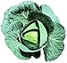 Photo Cabbage Bravo F1 Seeds - Vegetable Seeds Package (1000) new bestseller 2024-2023