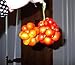 Photo Very Rare Heirloom! Traveler's Tomato 20 Seeds! Pull Apart & eat Like Grapes! new bestseller 2024-2023