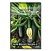 Photo Sow Right Seeds - Black Beauty Zucchini Seed for Planting - Non-GMO Heirloom Packet with Instructions to Plant a Home Vegetable Garden - Great Gardening Gift (1) new bestseller 2024-2023